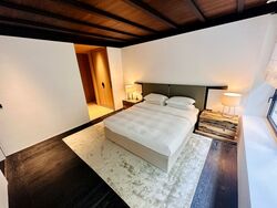 21 Anderson (D10), Condominium #526750351